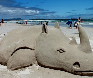 Renoster plesier in Franskraal